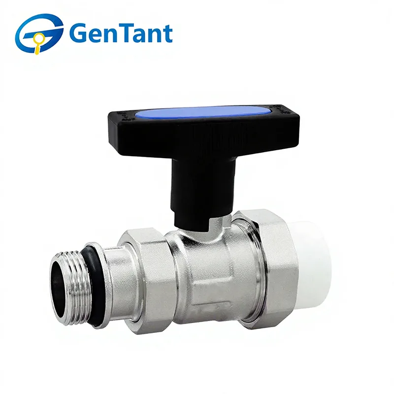 Clapet de retour à tige longue