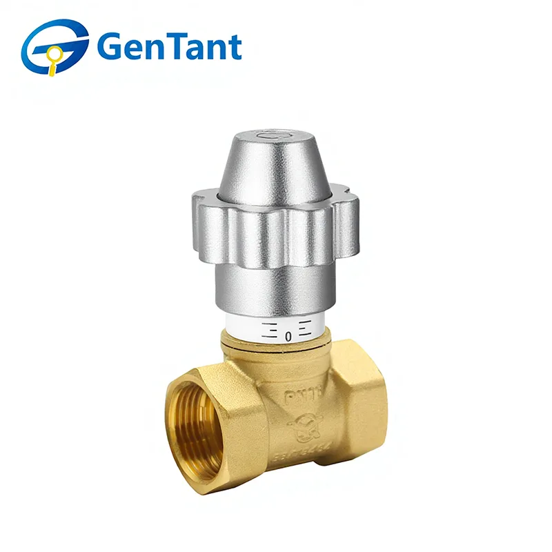 Vanne à soupape de contrôle de débit verrouillable magnétique