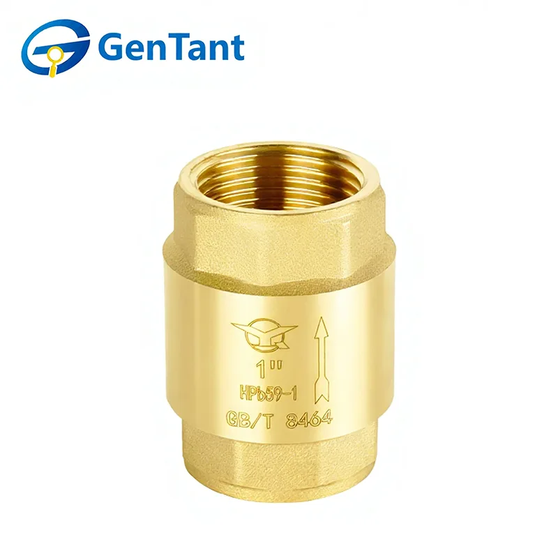 Clapet anti-retour à ressort